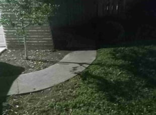 Leaf Removal by Leroy Washington for Hanna T. in Houston, TX
