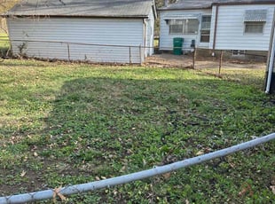 Leaf Removal by Genee Buckner for Randy J. in St. Louis, MO