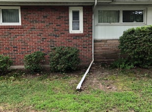Bush Trimming by Sean Curran for Stacy B. in Ferguson, MO