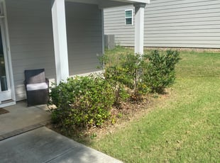 Bush Trimming by Fredrick thomason for Sarah S. in Simpsonville, SC