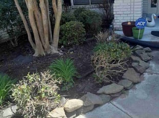Leaf Removal by Eric Gaytan for Tanvir K. in Cordova, TN