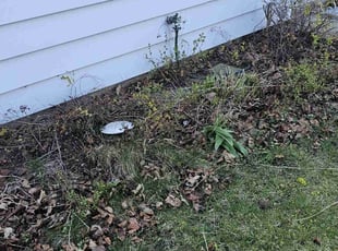 Bush Trimming by Robert Dowdy for Margaret E. in Milwaukee, WI