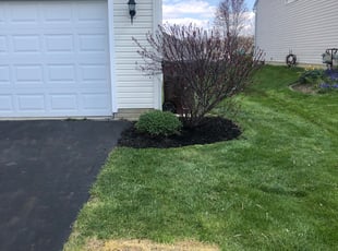 Mulching by Dave Ehrenberg for Chris U. in Violet Township, OH