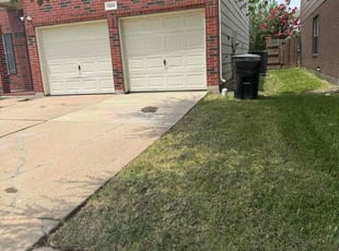 Andrea R.'s Yard Cutting service result