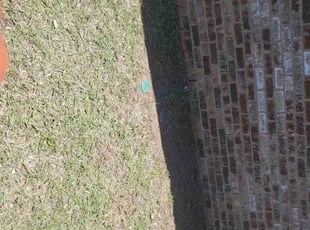 Cleanups by Cody Smith for Jonathan B. in Irvington, AL
