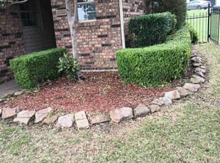 Bush Trimming by Joshua Daley for Lindsay W. in Rockwall, TX