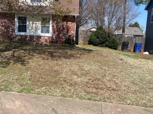 Leaf Removal by Andy Roach for Rachael H. in Broken Arrow, OK