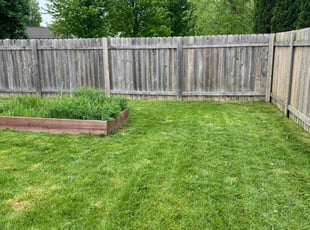Lisa D.'s Lawn Maintenance service result