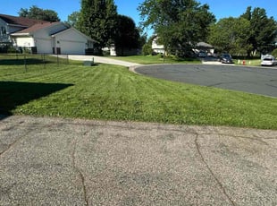 Damaris M.'s Lawn Care service result