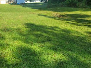 Kyle T.'s Lawn Care service result