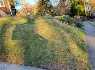 Leaf Removal by Fidel Rodriguez for Christina S. in Arlington, VA