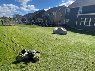 Ruth S.'s Lawn Mowing service result