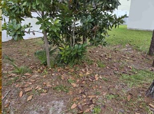 Weeding by Adam Watters for Amanda C. in Panama City Beach, FL