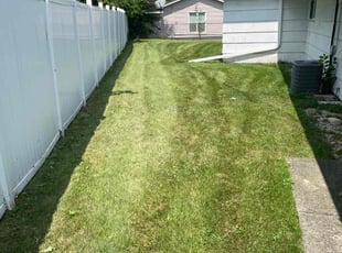 Linda G.'s Yard Cutting service result