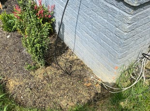 Weeding by Orlando Guevara for Travis F. in Washington, DC