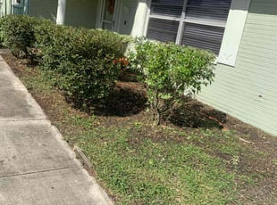 Bush Trimming by Tammy Melendez for Crystal D. in Lakeland, FL