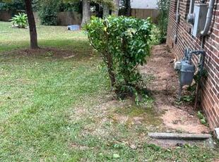 Bush Trimming by Deantony Bridges for Mary m. in Fairburn, GA