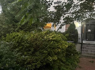Bush Trimming by Edgar Elmore for Juan H. in Washington, DC