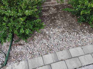 Weeding by Michael Starnes for Sarah P. in Virginia Beach, VA