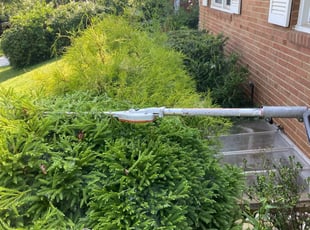 Bush Trimming by Orlando Guevara for Hanna M. in Rockville, MD
