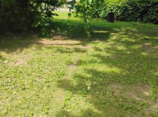 Cleanups by Ebonisha Thomas for Vijai B. in Rochester, NY
