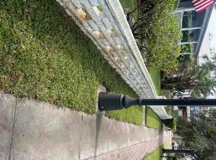 Vida S.'s Lawn Care service result