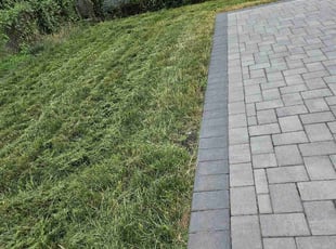 Paulina W.'s Grass Cutting service result