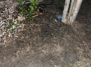 Weeding by Stephen Cannon for Shondra C. in Denham Springs, LA