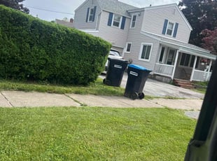 Bush Trimming by James Serio for Sara O. in Rochester, NY