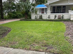 Cleanups by Luis Longa for Aura B. in Orlando, FL