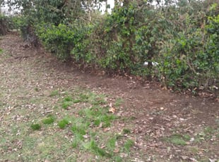 Cleanups by Clarence Brown for Becky M. in Overland, MO