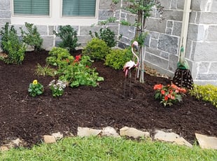 Landscaping by Domingo Rosas for Brian S. in Porter, TX