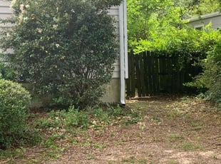 Bush Trimming by Kunique Billups for Alexx A. in Richmond, VA