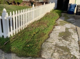 Leaf Removal by Jonathan Allen for Marie Jan A. in Citrus Heights, CA