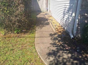 Bush Trimming by Selvin Cruz for Lizabeth H. in Nashville, TN