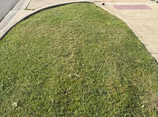 Cleanups by Ricardo Flores for Nigam B. in Waukegan, IL