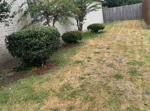 Bush Trimming by Jose Manzanares for Annette S. in Missouri City, TX