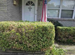 Bush Trimming by Manuel Solis Soto for Sarah H. in Garland, TX