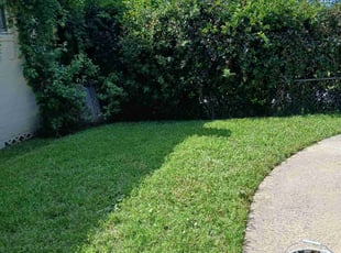 Brendon R.'s Lawn Care service result