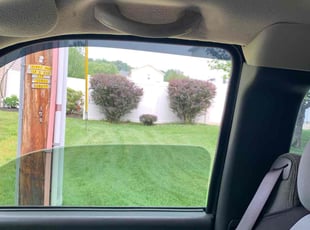 Bush Trimming by James White for Vikram C. in Scranton, PA