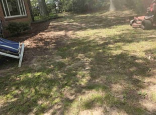Leaf Removal by Yobani Benitez for Christina H. in Severna Park, MD