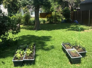 Denise B.'s Lawn Mowing service result