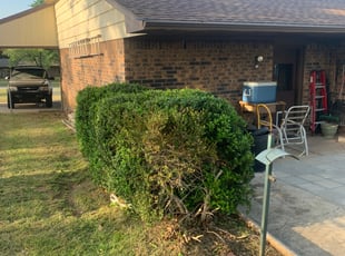 Bush Trimming by Dillon Johnson for Anita N. in Choctaw, OK