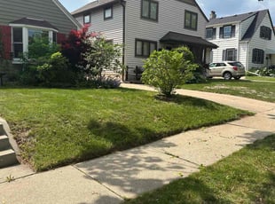 Bush Trimming by Bryan Berg for Meachel B. in Milwaukee, WI