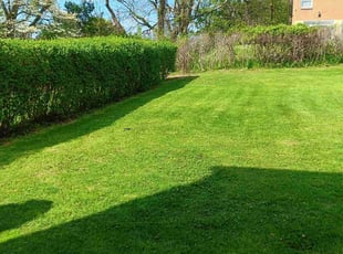 Joshua W.'s Lawn Mowing Service service result