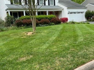 Shanee S.'s Lawn Maintenance service result