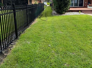 FRANK M.'s Lawn Mowing service result