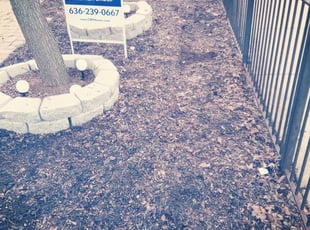 Cleanups by David Rodriguez for Kate P. in St. Louis, MO