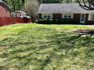 Tallanah D.'s Lawn Care service result