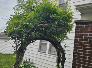 Bush Trimming by Leroy Green II for Patrice R. in Columbus, OH